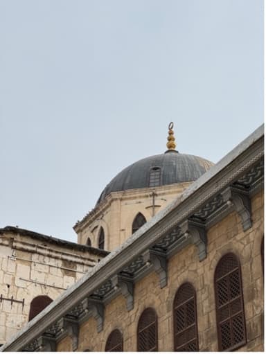 قارئ في دمشق